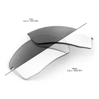100% Speedcoupe Replacement Erstatningslinser 100% Speedcoupe Replacement Erstatningslinser