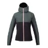 2117 of Sweden Roxtuna Jacka Dam, Forest green