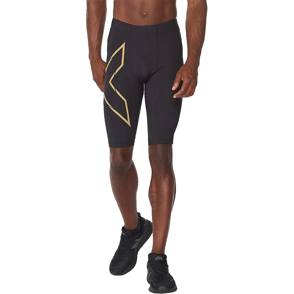 2XU Light Speed Korte Leggings male