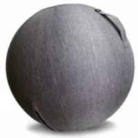 Abilica FitnessBall Cover, Gymball Abilica FitnessBall Cover, Gymball
