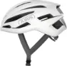 Polar white