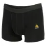 Aclima Men's Warmwool Shorts