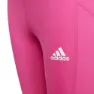adidas A.r. D Leggings