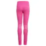 adidas A.r. D Leggings
