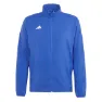 Team royal blue 1
