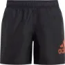 adidas Bos Clx Sl Badebukse male