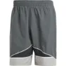 adidas Clrdo Badebukse
