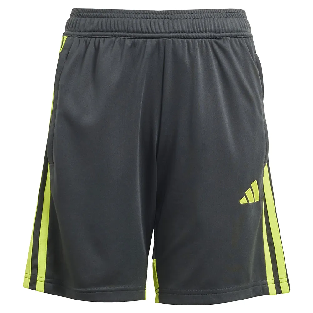 adidas Germany Dfb 125 Shorts