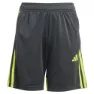 adidas Germany Dfb 125 Shorts