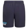 adidas Linear Badebukse male, Shadow navy / sky rush, 15-16Y