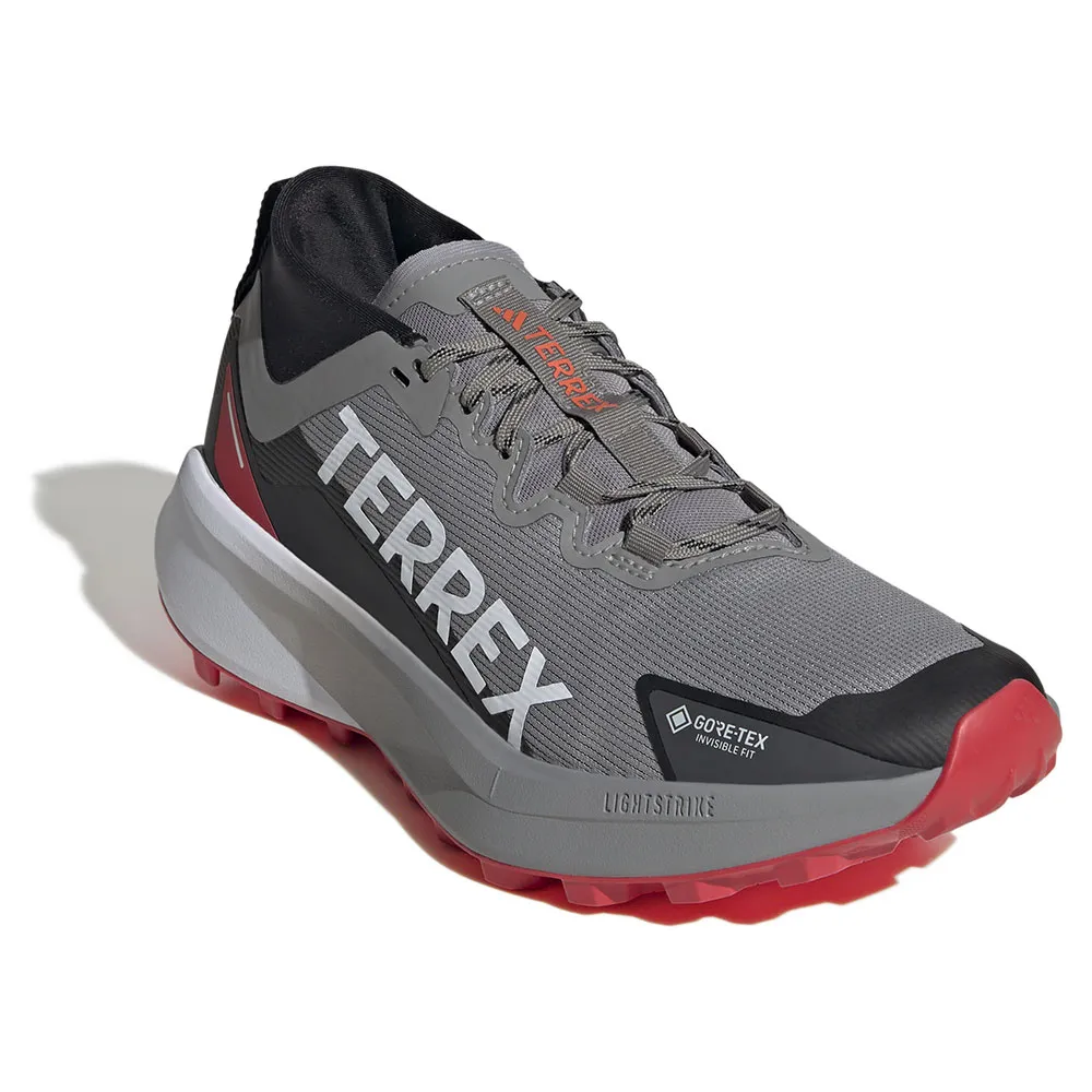 adidas Men's Terrex Agravic Gore-Tex