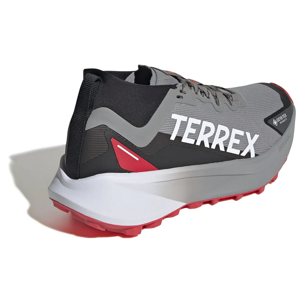 adidas Men's Terrex Agravic Gore-Tex