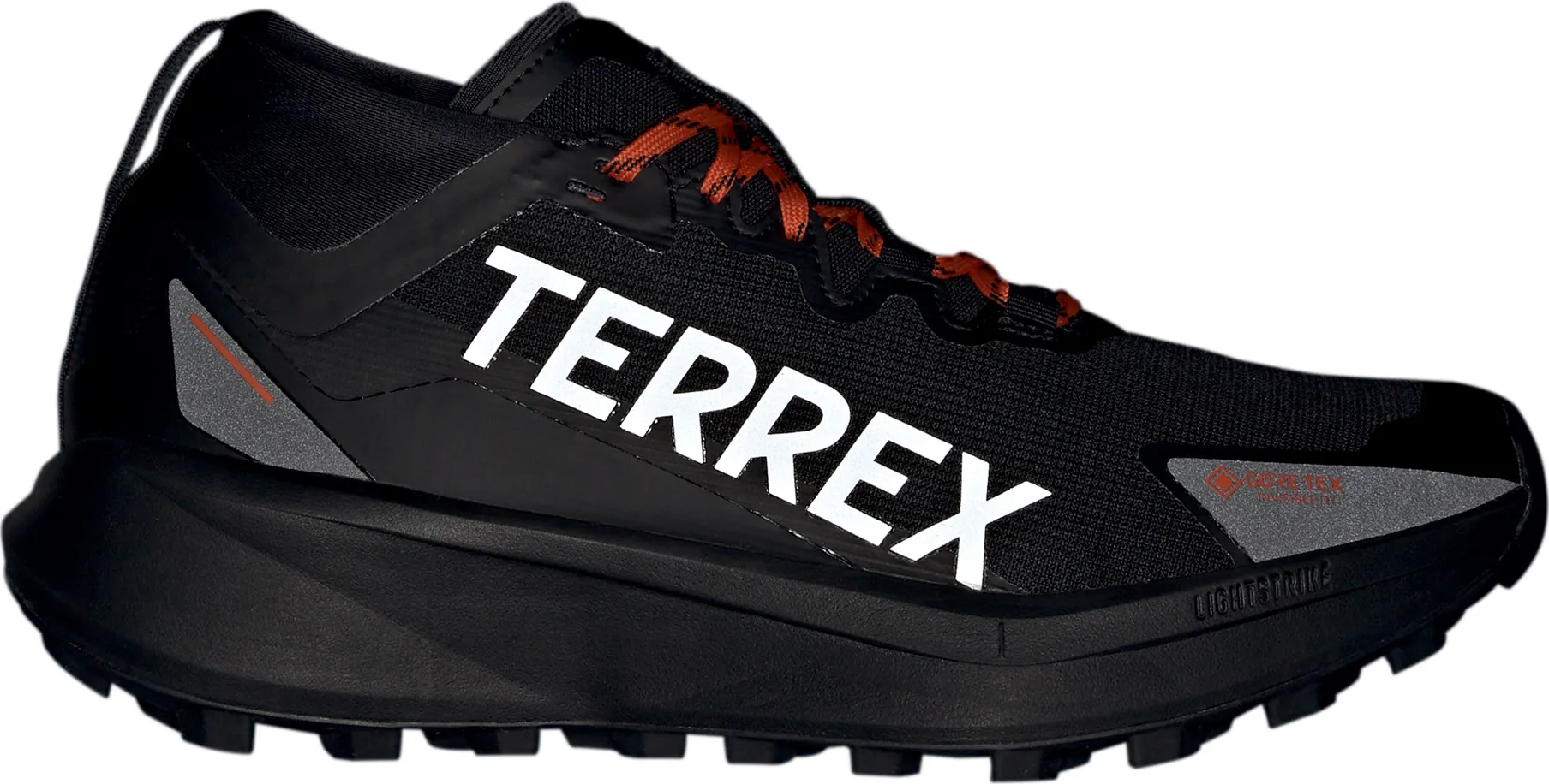 adidas Men's Terrex Agravic Gore-Tex