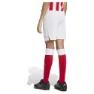 adidas Olympiacos Fc Anniversary Shorts