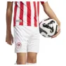 adidas Olympiacos Fc Anniversary Shorts