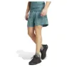 adidas Own The Run Climacool 2in1 Shorts male
