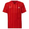 adidas Printed Freelift Kortarmet T-skjorte