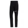 adidas Techrock Mountaineering Bukser