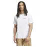 adidas Terrex Graphic Kortarmet T-skjorte