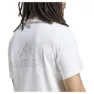adidas Terrex Graphic Kortarmet T-skjorte