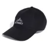 adidas Terrex Multi Baseball Cap