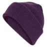 Aurora plum