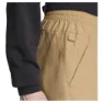adidas Terrex Multi Shorts