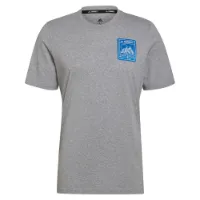 adidas Terrex Patch Mountain Graphic Kortarmet T-skjorte