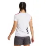 adidas Terrex Pro Kortarmet T-skjorte