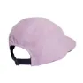 adidas Terrex Winterised Reversible Cap