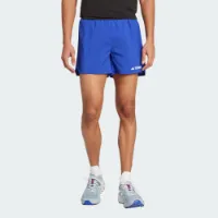 adidas Terrex Xperior Shorts Ws
