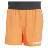 adidas Terrex Xperior Shorts Ws