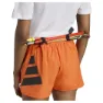 adidas Terrex Xperior Shorts Ws