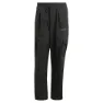 adidas Terrex Xploric Cargo Joggers