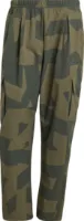 adidas Terrex Xploric Cargo Printed Joggers