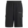adidas Terrex Xploric Cargo Shorts