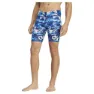 adidas Waves Graphic Jammer male