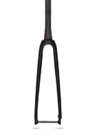 Aerlite Landevei Disc Carbon Gaffel