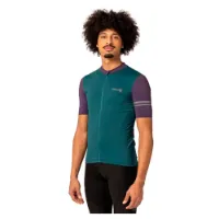 AGU Colorblock Performance Kort Ermet Trøye AGU Colorblock Performance Kort Ermet Trøye