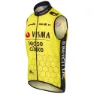 AGU Replica Visma | Lease A Bike 2024 Vest, Black / yellow