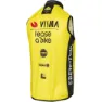 AGU Replica Visma | Lease A Bike 2024 Vest, Black / yellow