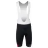 AGU Team Jumbo-visma Replica 2023 Sykkelshorts