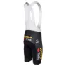 AGU Team Jumbo-visma Replica 2023 Sykkelshorts
