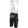 AGU Visma Lease a Bike Replica sykkelshorts herre
