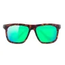 Alba Optics Eyewear