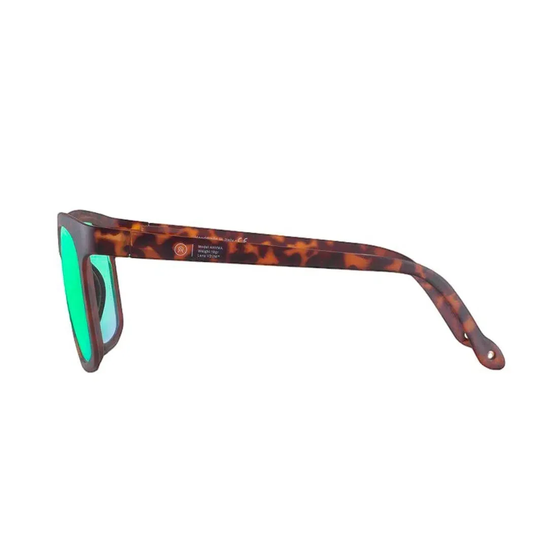 Alba Optics Eyewear Alba Optics Eyewear