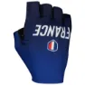 Alé French Cycling Federation 2023 Korte Hansker