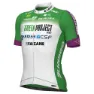 Alé Green Project-bardiani Csf-faizane Pro 2023 Kort Ermet Trøye, Green / white