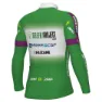 Alé Green Project-bardiani Csf-faizane Replica 2023 Langermet Trøye, Green