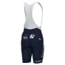 Alé Prime Groupama Fdj 2024 Sykkelshorts